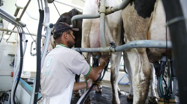 20 maiores produtores de leite do Brasil2 outubro 25
