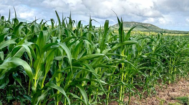 Adema reúne municípios para formação de Pontos de Apoio Municipais do Cadastro Ambiental Rural----03 DE NOVEMBRO 25