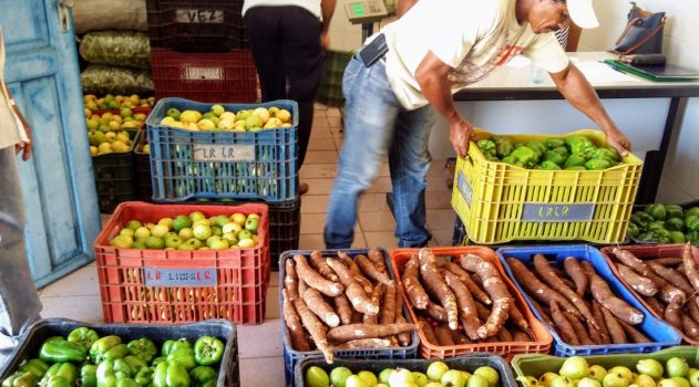 Coderse realiza cadastro da Agricultura Familiar para incentivar investimentos e benefícios nos perímetros irrigados