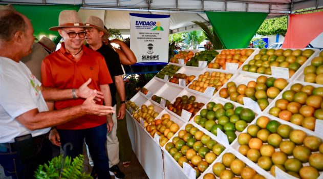 Governo do Estado apoia 47ª Festa da Laranja e reforça compromisso com fortalecimento da citricultura---24 DE NOVEMBRO 25