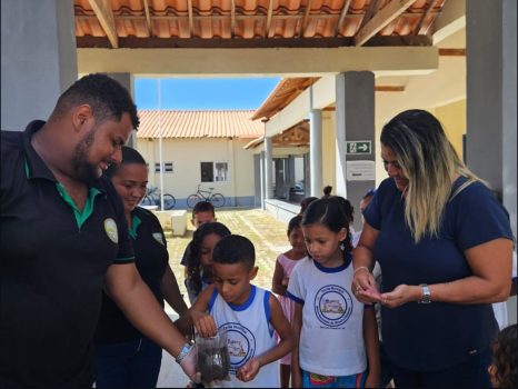 HORTA NAS ESCOLAS BARRA DOS COQUEIROS