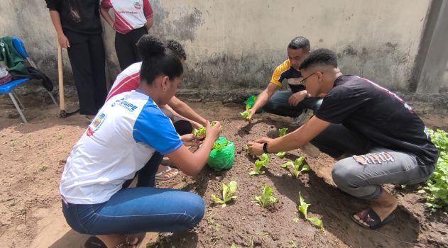 Jovens de São Domingos aplicam conhecimento do Programa Cultivando Hortas e criam empreendimento própri19 de outubro de 25