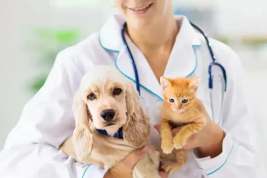 MEDICO VETERINÁRIO COM CACHORRO E GATO-3 DE OUTUBRO 25