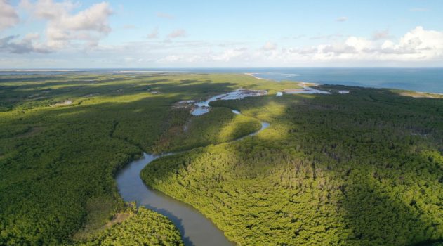 Sergipe chega à COP 30 com agenda de desenvolvimento sustentável e descarbonização----07 de NOVEMBBRO 25