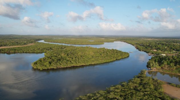Sergipe pode ser referência em economia de baixo carbono e potencializar oportunidades no contexto da COP30---12 de novembro 25