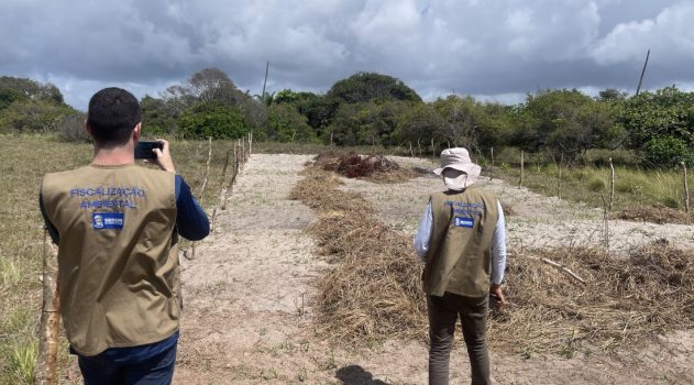 marituba ibama multa 1 de novembro de 2025